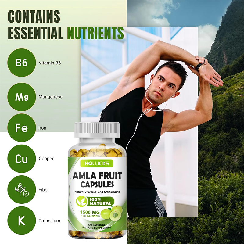 홀럭스 암라 과일 추출물 캡슐, 에너지 및 신진대사 지 - Health Wellness Energy 리뷰 및 가격