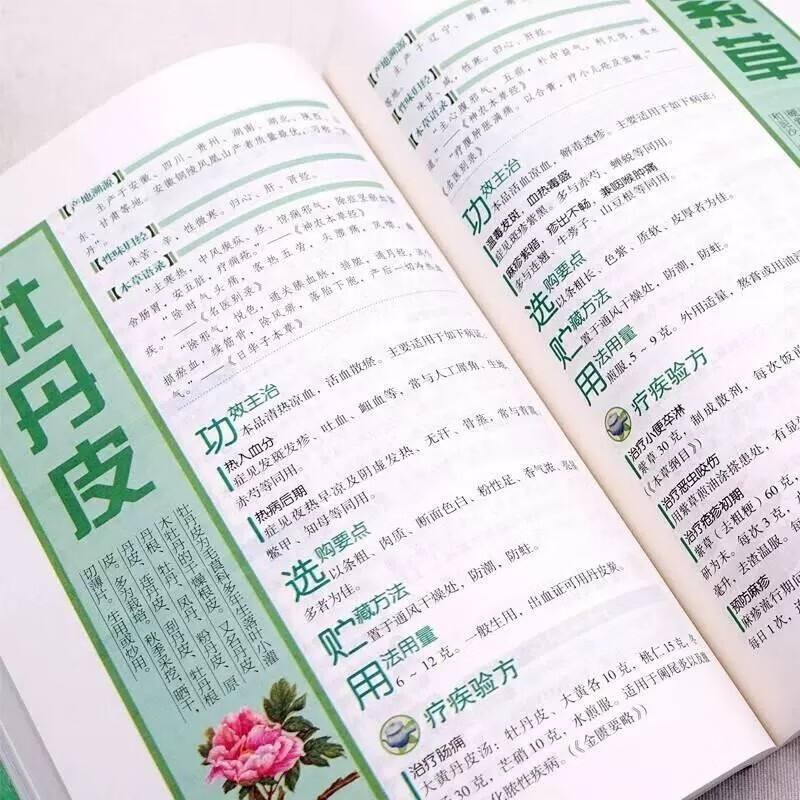 가족을 위한 전통 한의학 건강 관리에 대한 완전한 가이 - Health Wellness Food 리뷰 및 가격